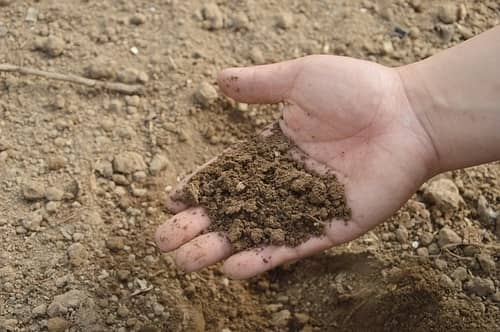 soil types in the UK
