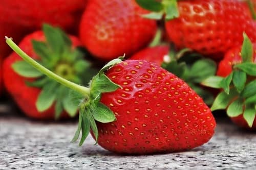 how to grow strawberries from seed