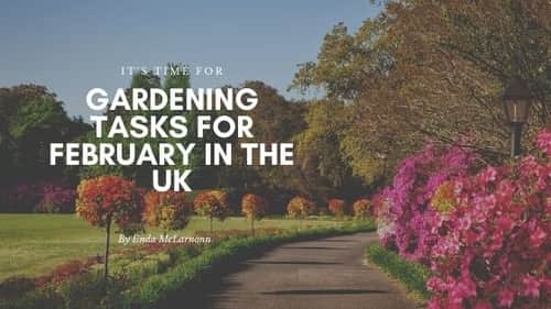 february gardening tasks