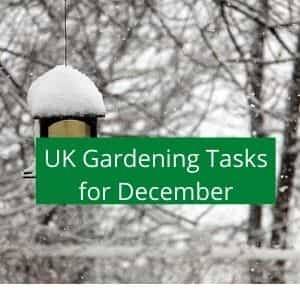 gardening jobs to do in December