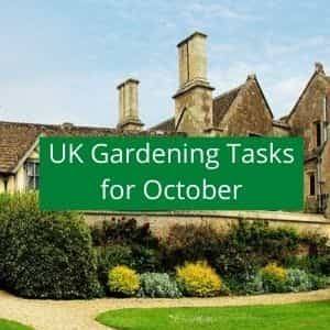 gardening jobs to do in October