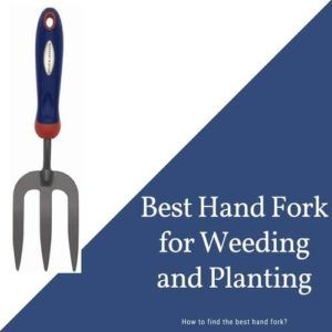 garden hand fork reviews
