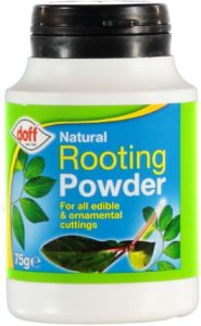 Picture of some rooting powder