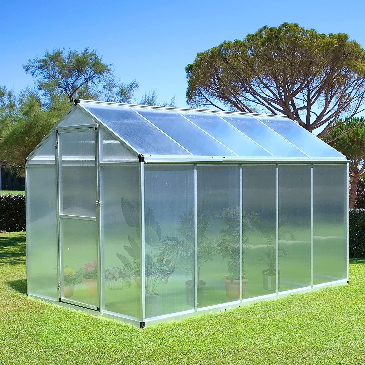 Greenhouse for Beginners UK 2024 Buying Guide