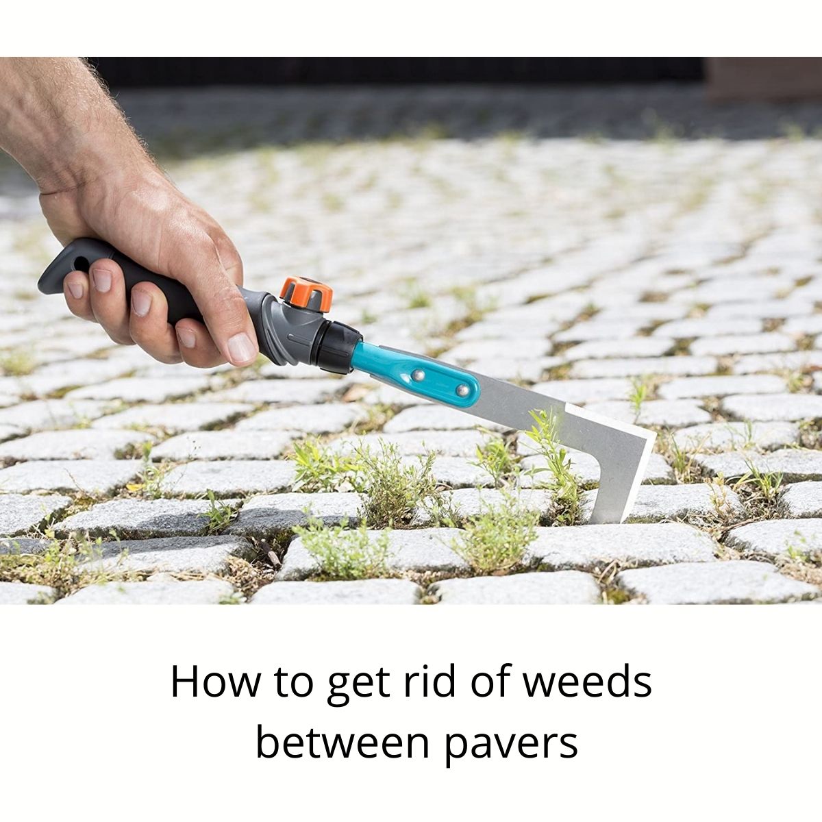 Top 93+ Images how to get rid of weeds between concrete slabs Completed