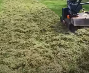 how to scarify a lawn UK